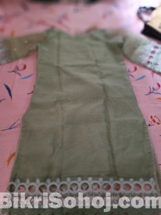 Pakistani organza dress